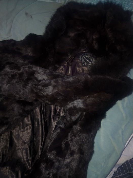 Turkey polto holati yangi