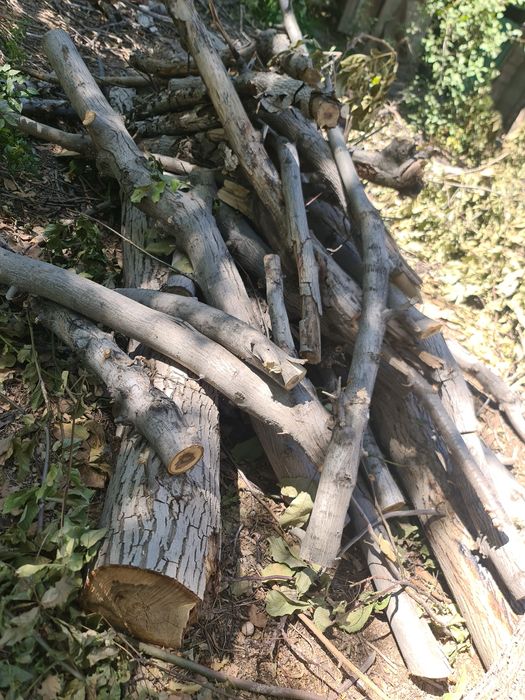 Продам дрова ,орех ,вишня