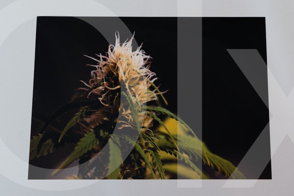 printuri foto fine art