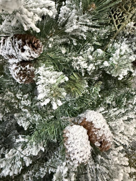 Продам шикарную ёлку