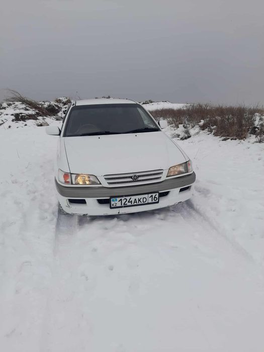 Продам Corona premium