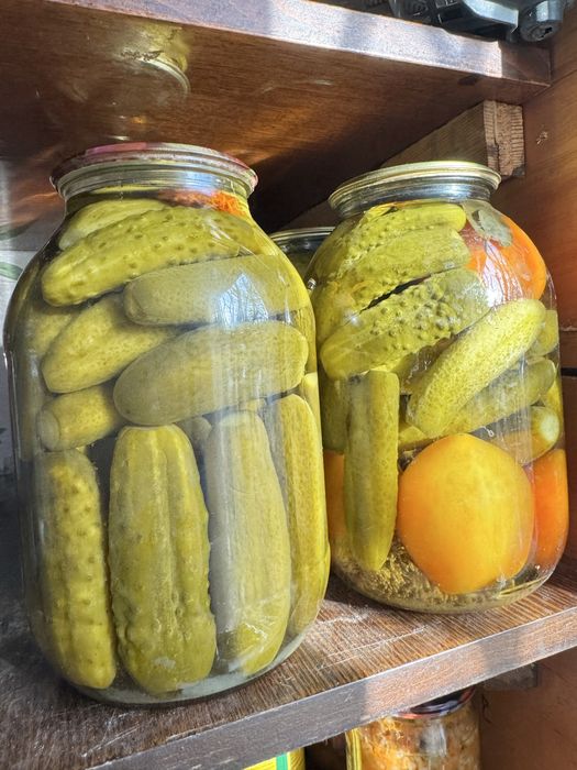 Продам картошку 3.500. Огурцы 2.500