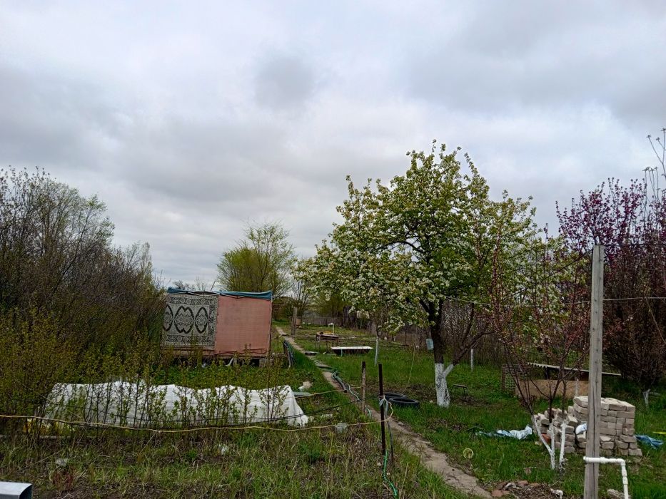 Продам дачу район обылгаз