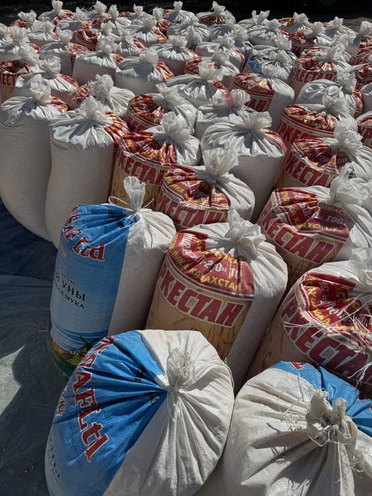 Жүгері дәні.   .