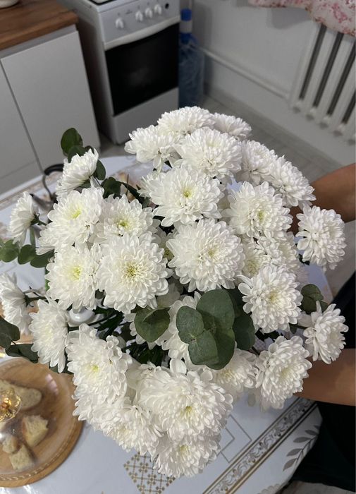 продается цветы хризантема