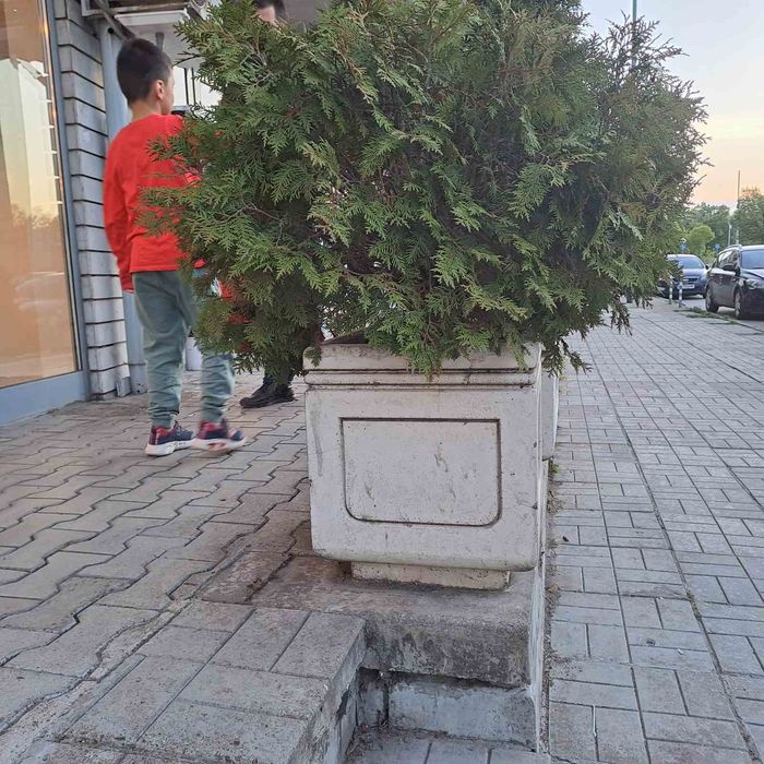 Градински кашпи от бетон