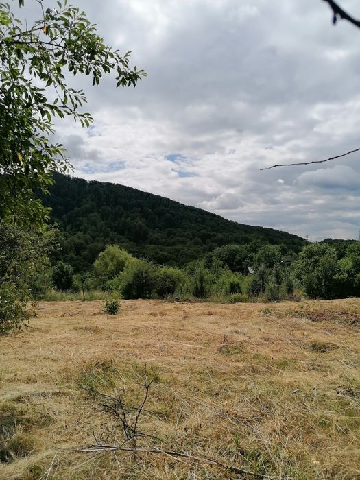 De vanzare teren intravilan 4500 mp,cu casa veche in Sovata