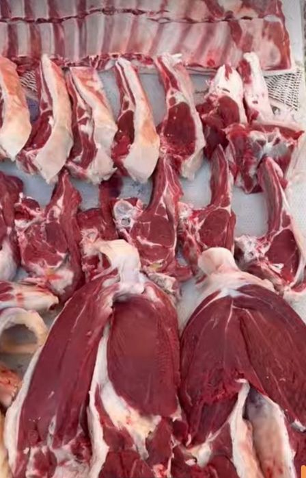 Sifatli va ishonchli xizmat
Qoy soiysh va maydalash 
Uyingizga borib q