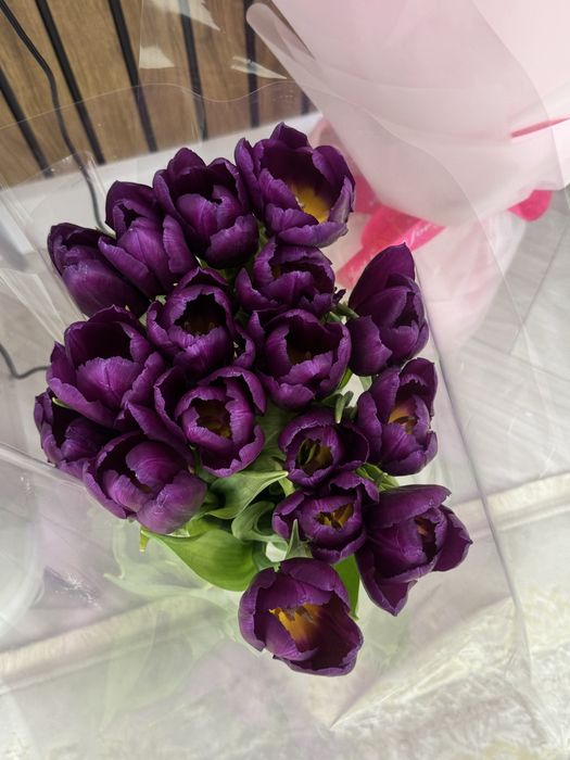 Тюльпан фиолетовые