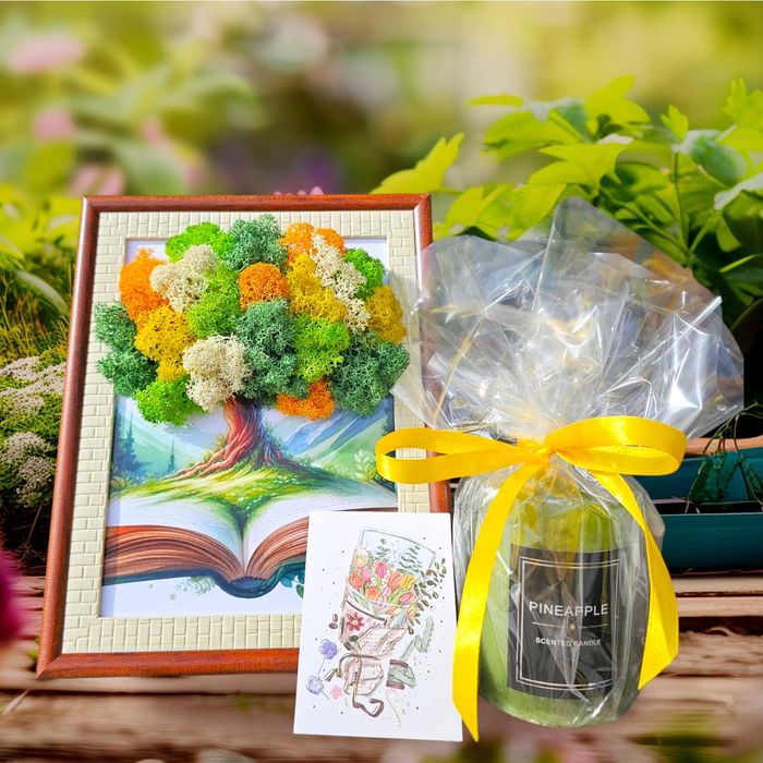 Комплекти за Дипломиране, Пана за учители