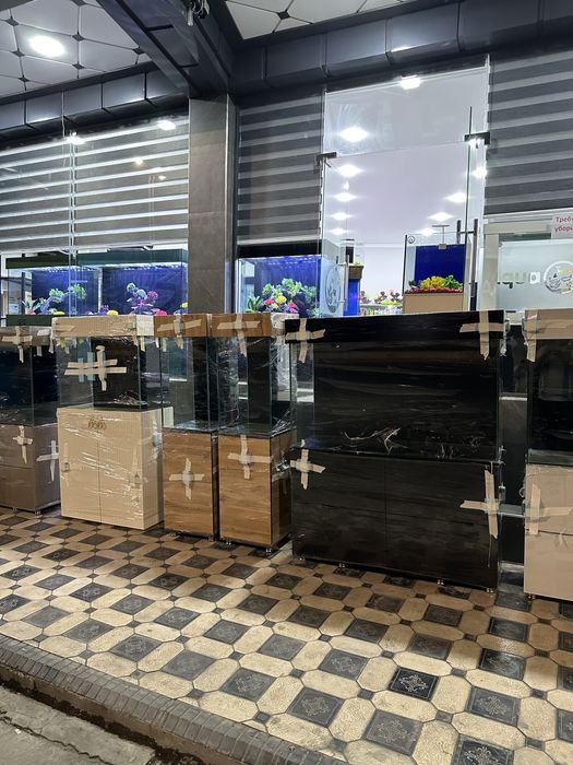 Akvariumlar 100 litr