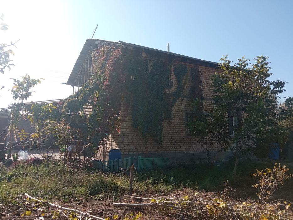 Янгийул тумани дустлик махалла