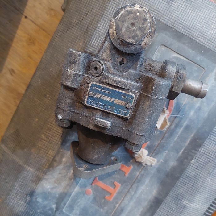 Гуура в хорошем состоянии