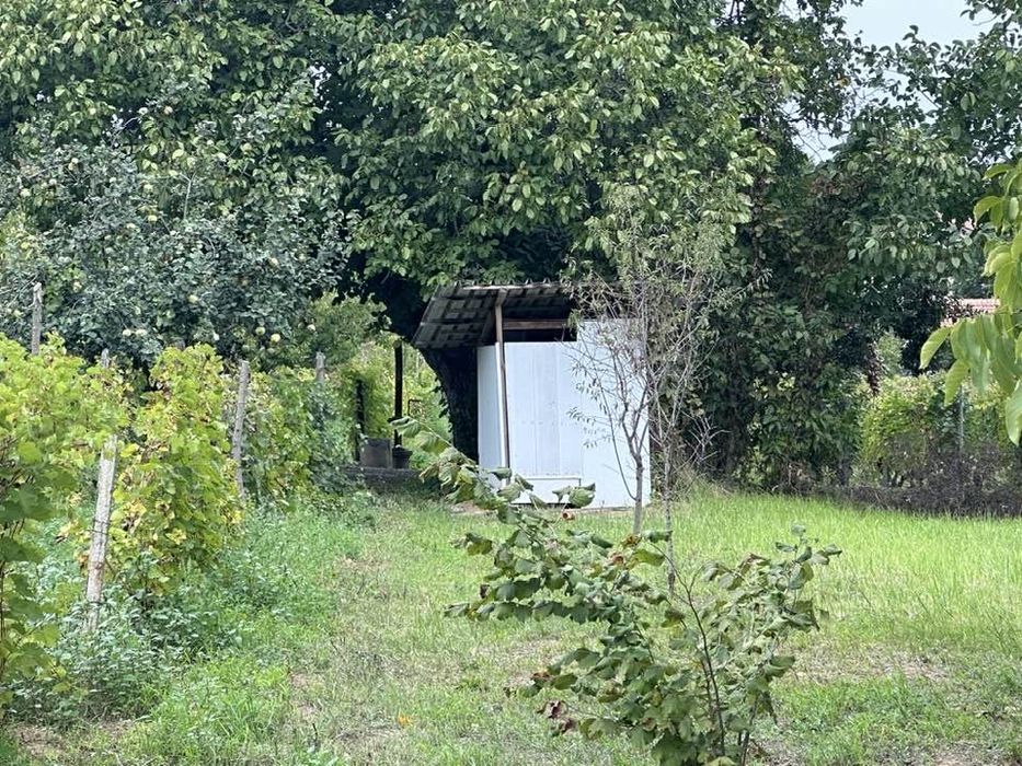 ГРАДИНА / терен / парцел / в гр. Силистра