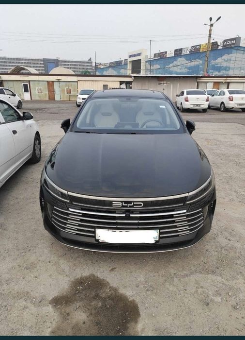 BYD chazor 120 km