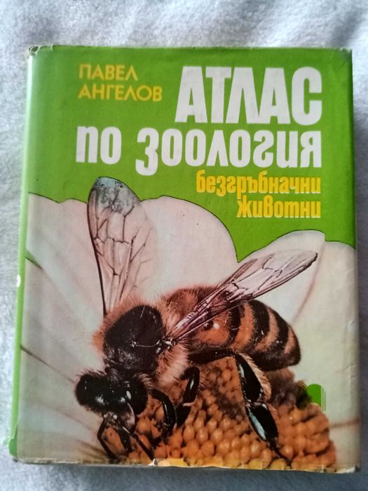 Атлас по зоология