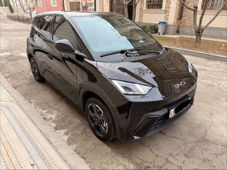 Официальный  Byd SEAGULL 15200$ Ўзимни номимда