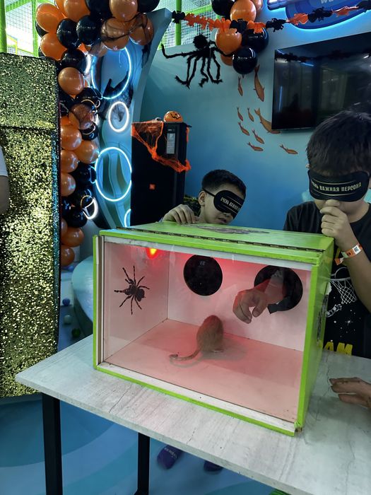 Нащупай шоу / шоу наощупь