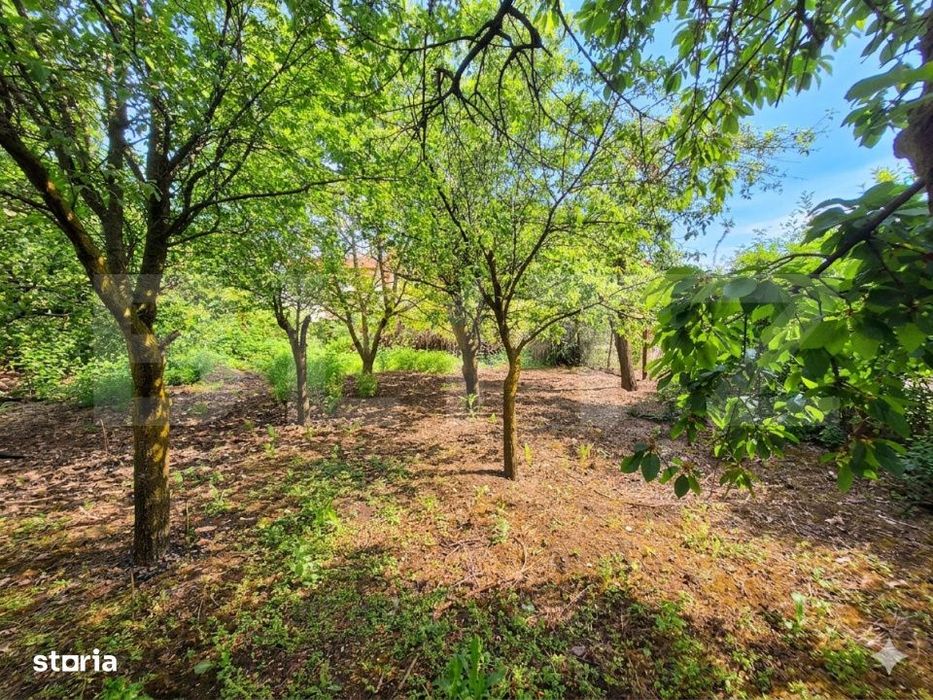 Casa individuala Iris, 770 mp teren, 110 mp utili, zona Rivus