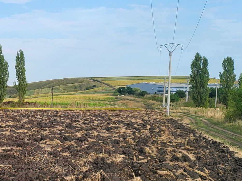 Vând 25.000 mp teren pentru hale in Tureni