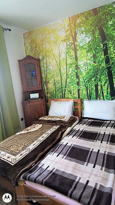 Vând casă  în Tușin, jud. Mureș , 40.000 Euro