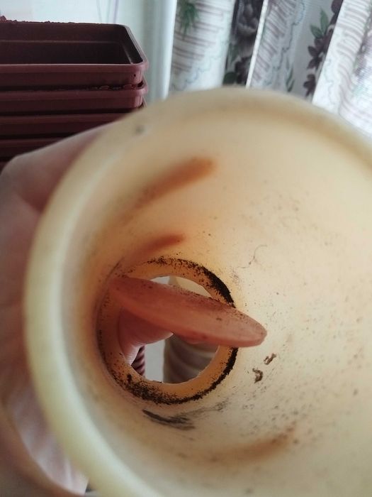 Горшочки для рассады