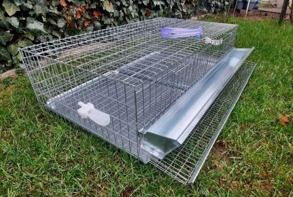 Producstor custi prepelite