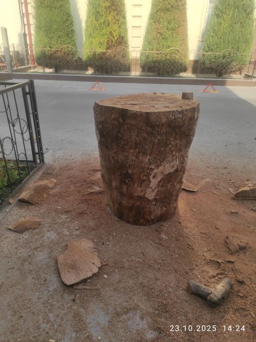 Кунда қассобларга