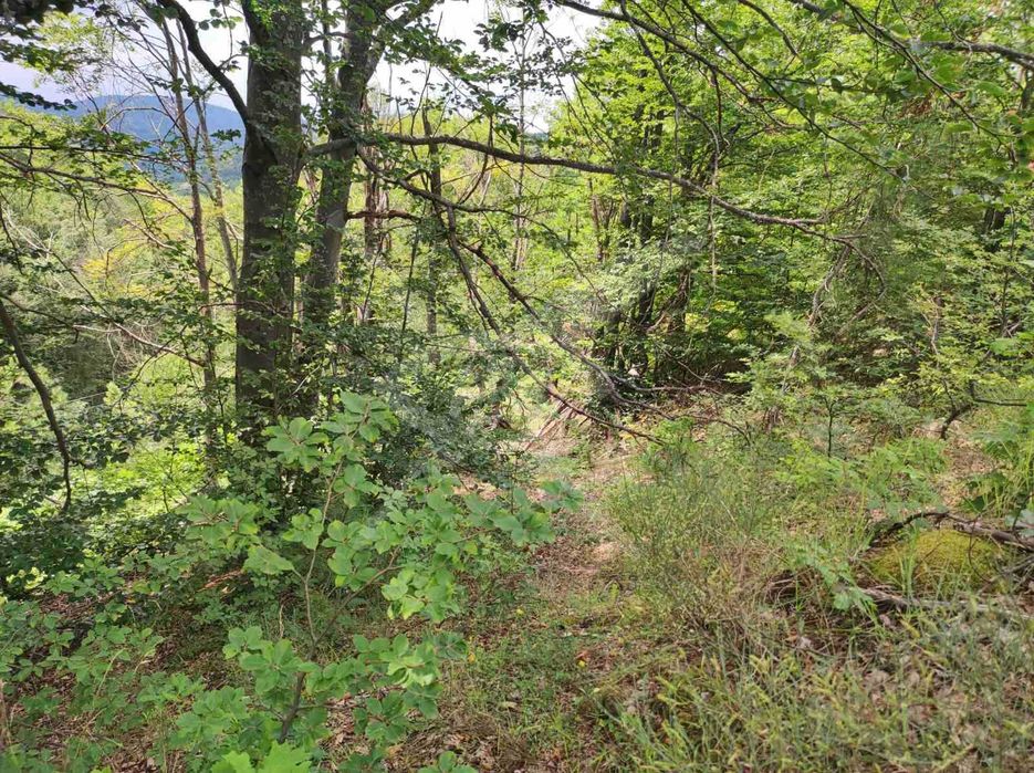 Продава се Парцел в с. Мостово, Област Пловдив - 2081 кв.м за 16 €/кв.м - Снимка #2