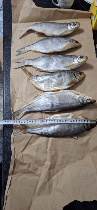 Кепкен Рыбец сатылады