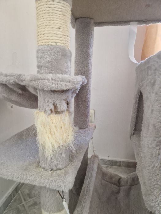 Котешка катерушка, тоалетна и легла.