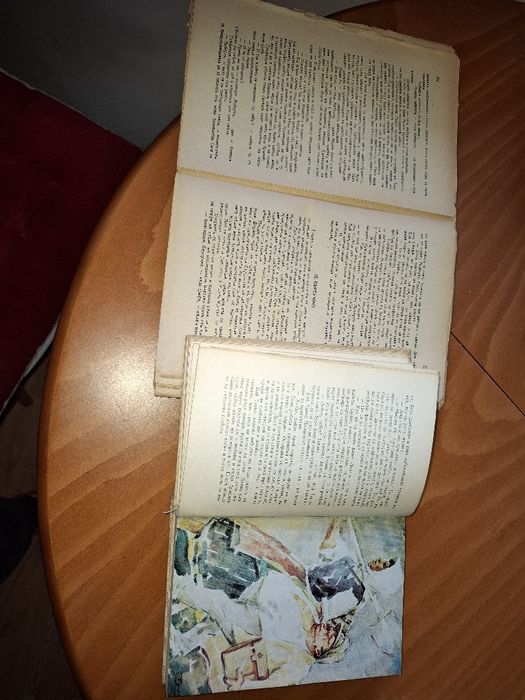 Представям Ви антикварни издания  на А. Дюма и Чудомир