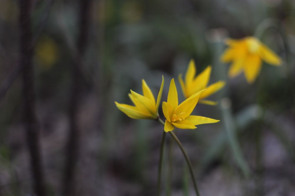 Фотоаппарат зенит