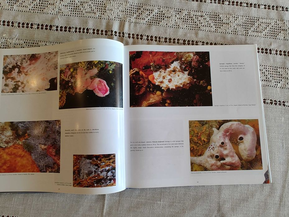 Богато илюстрирана книга, твърди корици: Подводният свят на Хърватия