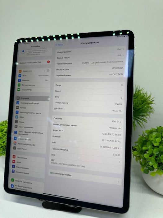iPad Pro 12.9-дюйм 6-gen 256 gb