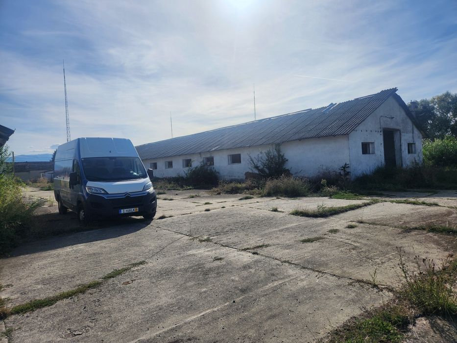 Inchiriez 2 Hale 2000m Sat Rausor Brașov