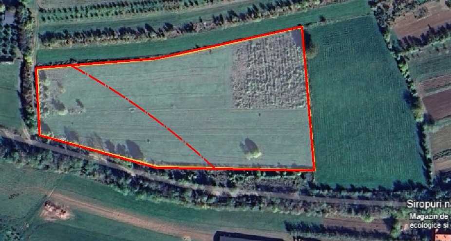 Vand teren in Coltesti