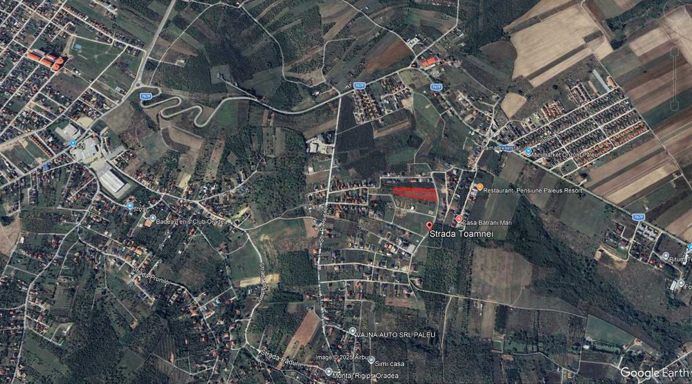 Terenuri de Vânzare în Paleu – cu PUZ Aprobat (Str. Toamnei) + Certificat de Urbanism