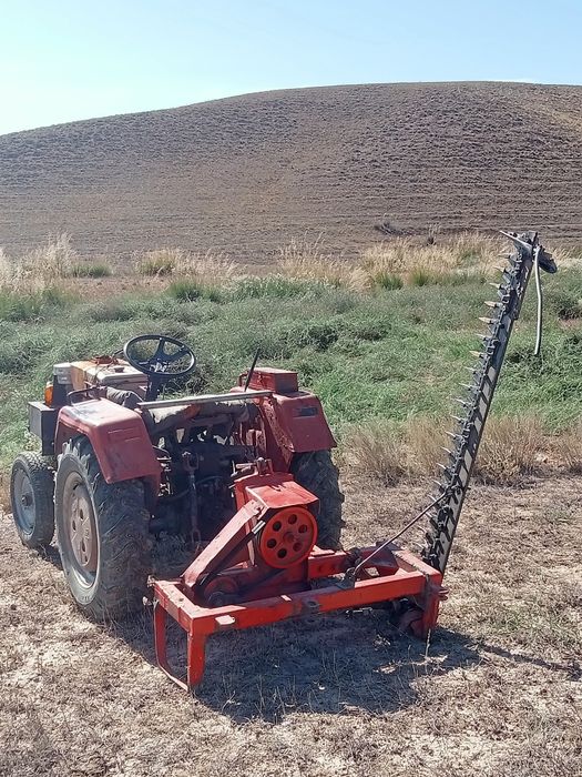 Мәжбүрлі соруға порно порно