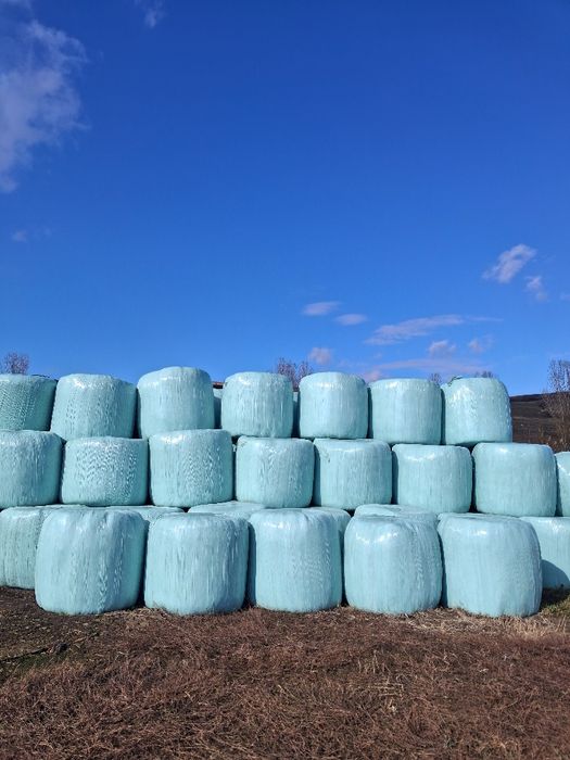 Vând baloți înfoliați semi uscați de 120