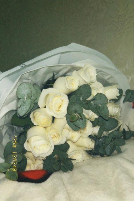 белая роза — свежие