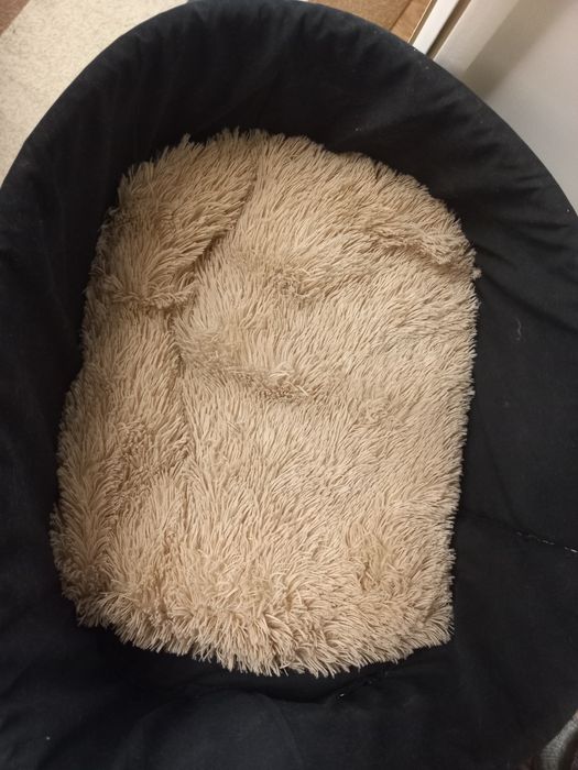 Продам лежанку для кота.