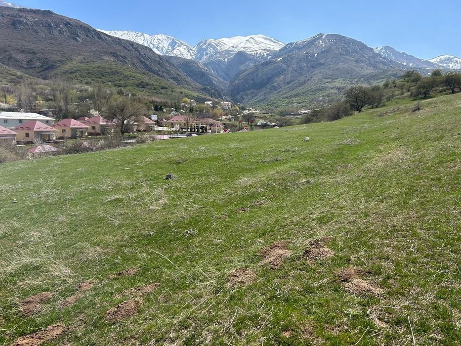 1га жер Акмешіт (Ленгер)