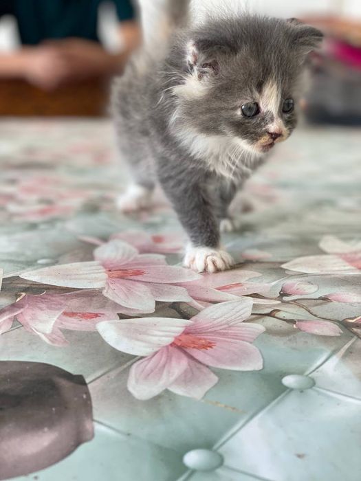 Er-xotin yosh er-xotinni yoldan ozdiradi.