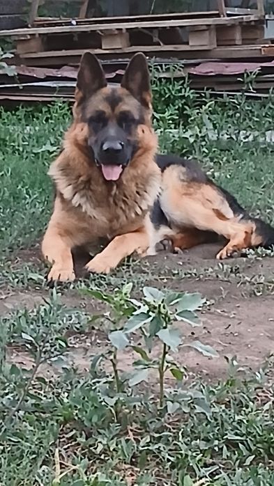 Кабель на вязку 3 года