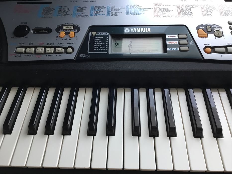 Orga electronica