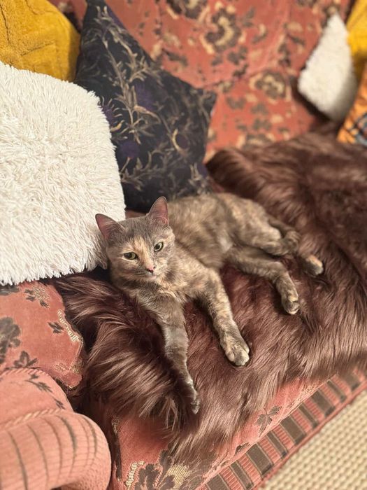 В самые добрые и ответсвенные руки.