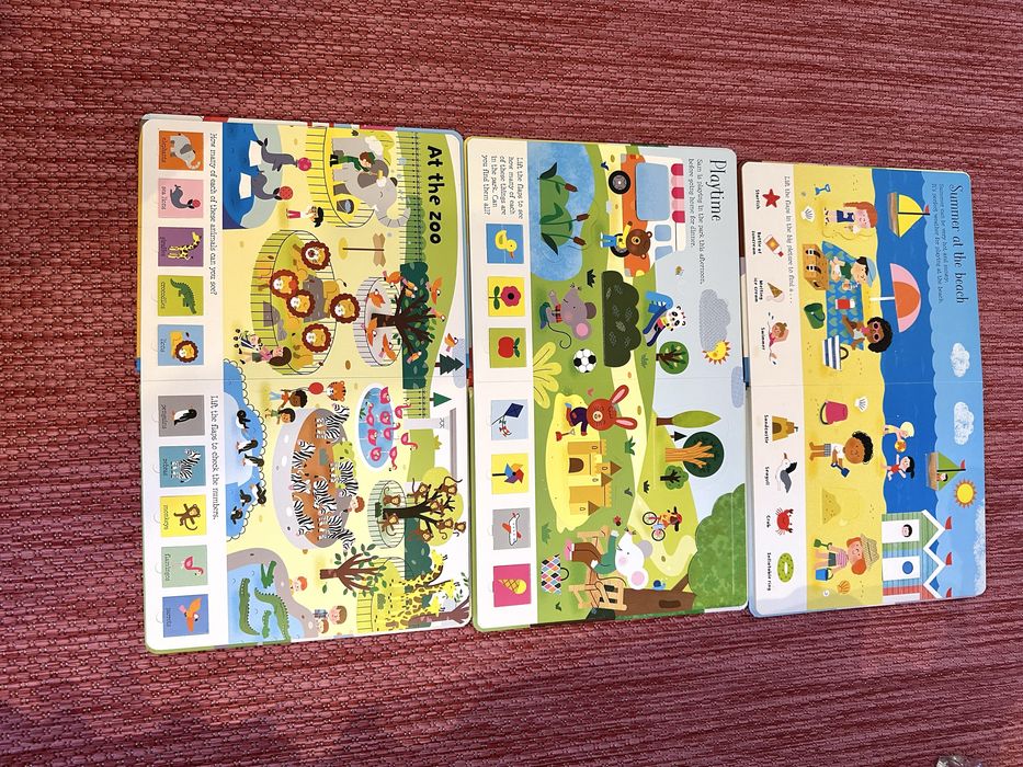 Carti Usborne Lift the Flap
