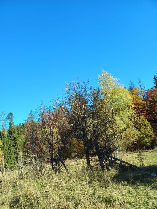 Teren la munte intre Breaza si Sinaia