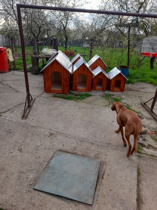 confectionez custi pentru caini